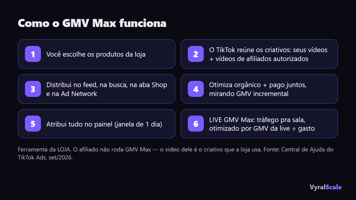 Como o GMV Max funciona: criativos, posicionamentos e otimização por ROI
